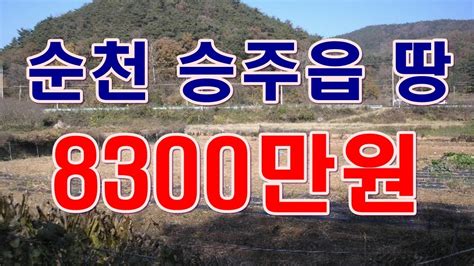 부동산 경매물건 전남 순천시 승주읍 두월리 땅 Youtube