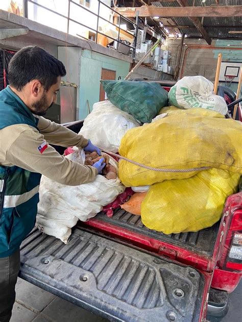 SAG ha interceptado más de 77 toneladas de papas que ingresan de manera