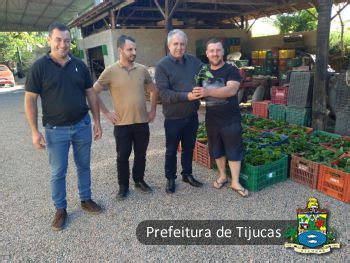 Agricultura De Tijucas Doa Mais De 10 Mil Mudas Aos Produtores Locais