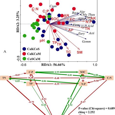 Relationship Between Soil Bacterial Diversity And Soil Physicochemical