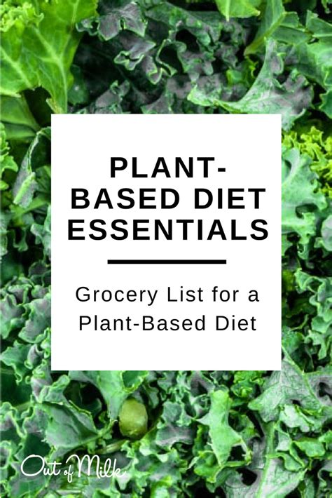 The Essential Grocery List For A Protein Rich Plant Based Diet Diet