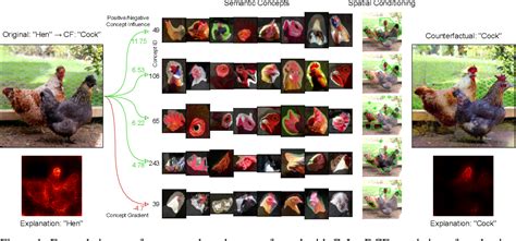 Figure 1 From CoLa DCE Concept Guided Latent Diffusion Counterfactual