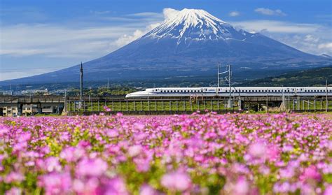 Viaggio In Giappone Da Tokyo A Hiroshima Weroad