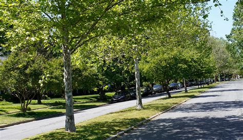 moving  mountain house ca living  mountain house ca