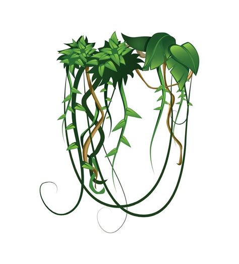 Vine Drawing, Mural Wall Art, Rainforest, Creative Art, Vines, Vector ...