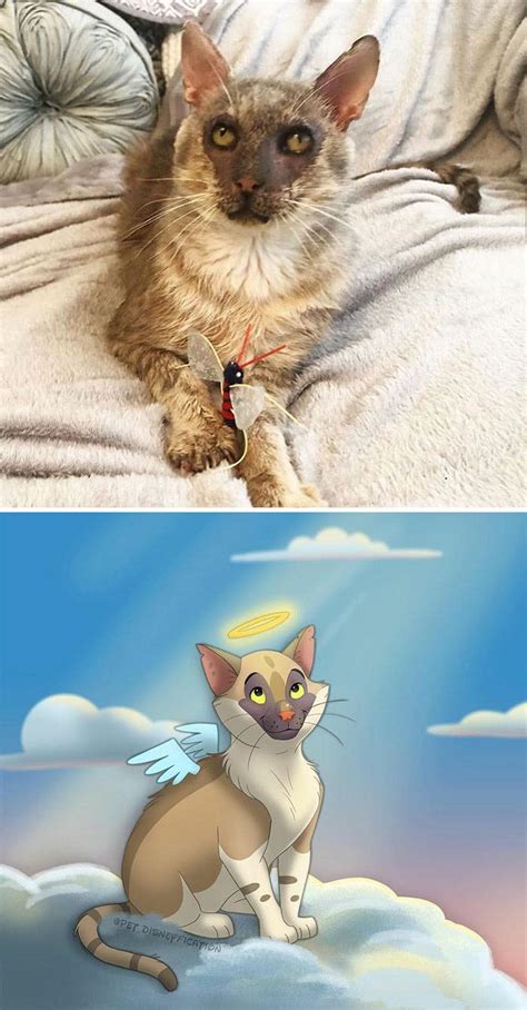 Artista Transforma Animais Da Vida Real Em Fofos Desenhos Da Disney