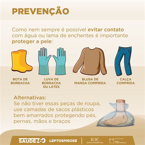 Como Prevenir A Leptospirose