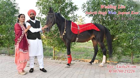 Wedding Live Inderjit Singh Weds Jaspreet Kuar 1 Nov 2021 Lucky26