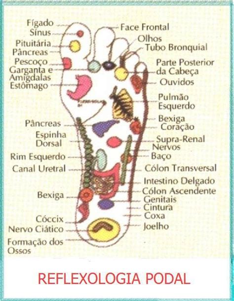 Reflexologia Podal Nervos Nervo Ciático Espinhas