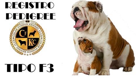 Registro Pedigree Tipo F3 Tipos De Registro Que Es Y Para Que