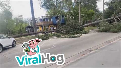 Strong Winds Knock Down Trees In Salt Lake City Viralhog Youtube