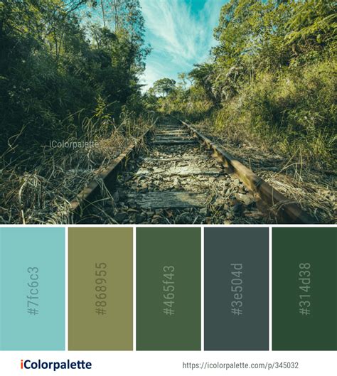 Color Palette Ideas from Nature Sky Ecosystem Image | iColorpalette