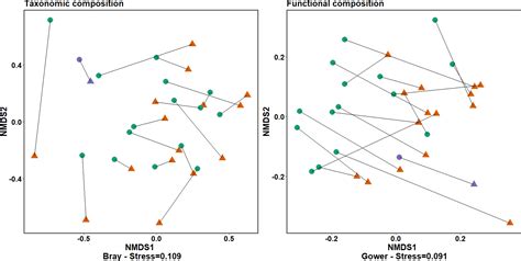 Frontiers | Restored intertidal eelgrass (Z. marina) supports benthic