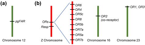 Evolution Of The Sex Pheromone Communication System In Ostrinia Moths