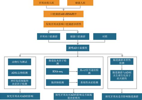 国自然热点｜口腔菌群与疾病关联研究的多组学解决方案 知乎