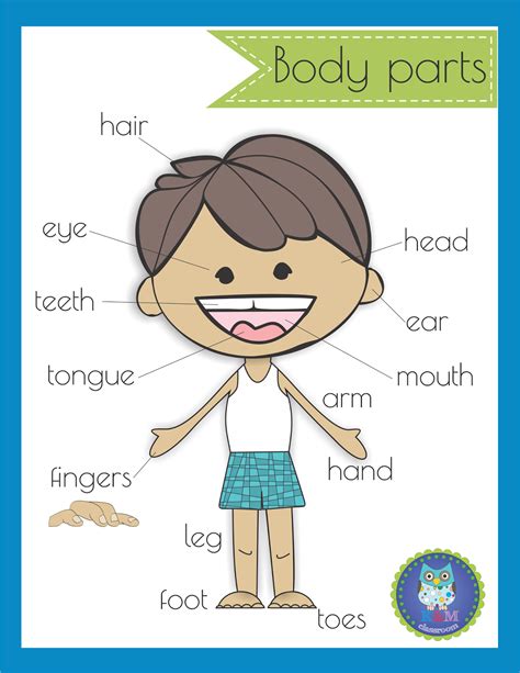 Body Parts Esl Kids