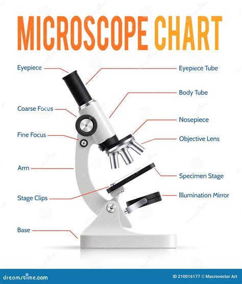 Microscopio E Suas Partes Braincp