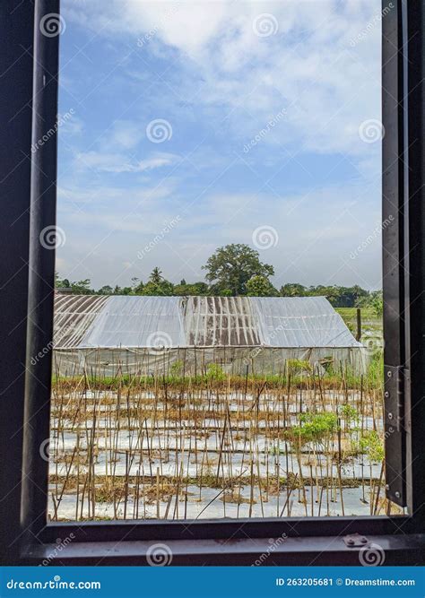 Beautiful View from Inside the Window Stock Image - Image of view ...