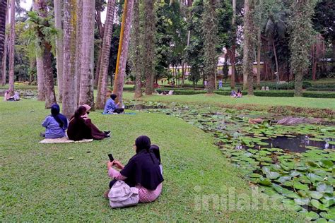 Foto Momen Piknik Keluarga Di Taman Langsat Saat Libur Lebaran