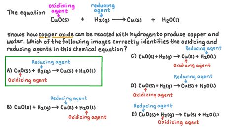 Question Video Identifying The Diagram That Correctly Labels The