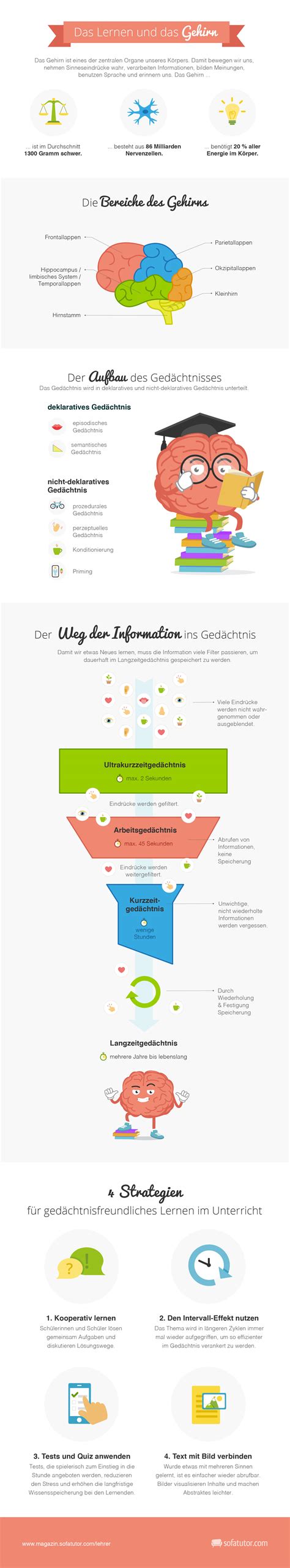 Infografik Lernen Und Das Gehirn Was Sie Wissen Sollten