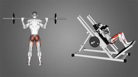 Hack Squat Vs Barbell Squat The Differences Explained Inspire Us