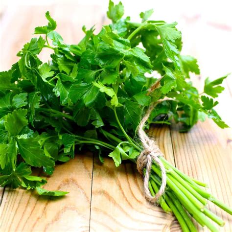 Perfect Parsley A Comprehensive Guide To Growing And Harvesting