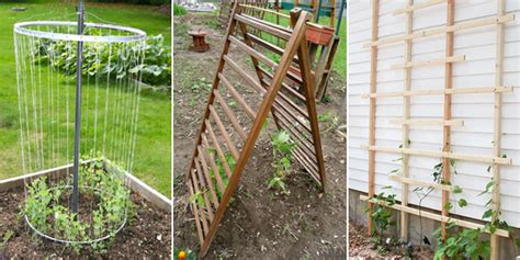 12 DIY Garden Trellis Plans, Designs and Ideas