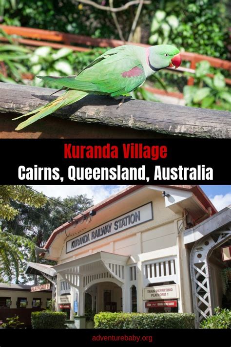 Things To Do In Kuranda Cairns Artofit