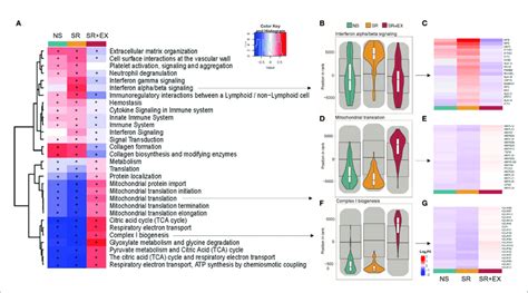 Gene Set Enrichment Analysis GSEA A Heat Map Representing The