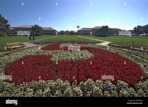 Stanford university the oval hi-res stock photography and images - Alamy