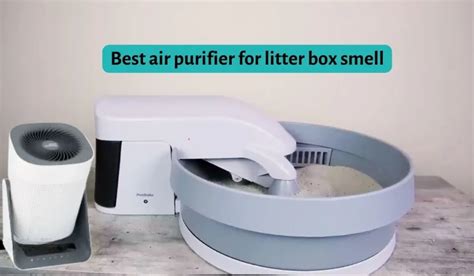 Top 3 Best Air Purifier For Litter Box Research Revealed