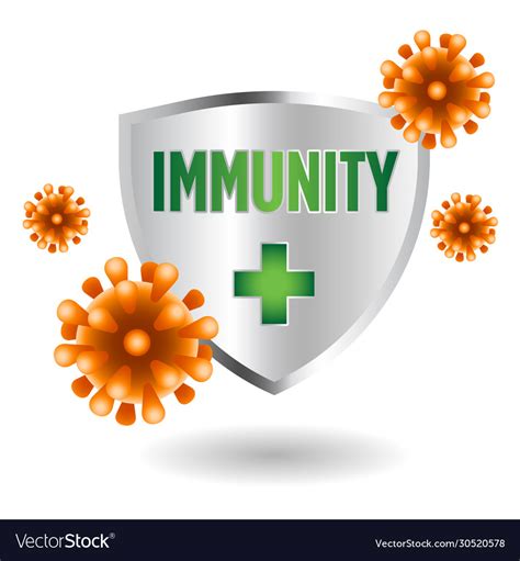 Immune System Shield Protecting From Virus Vector Image