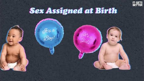 Sex Assigned At Birth Lgbtq Fundamentals Youtube