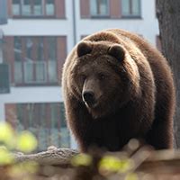 The Best Planning Books to Read Right Now