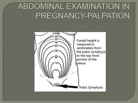 stomach exam  pregnancy tests  pregnancy abdominal