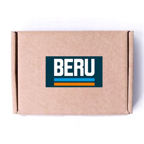 Buy Controller time allegations beru gse108 XDALYS