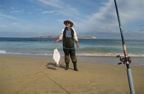 Pesca De Lenguado A Surfcasting Consejos Y Equipo De Pesca