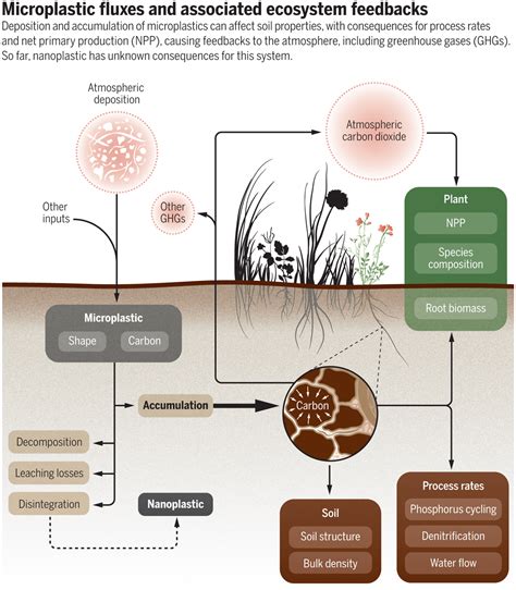 Microplastic In Terrestrial Ecosystems Science