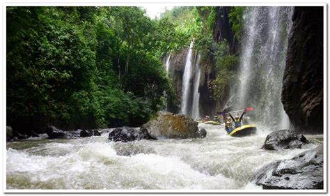 Wisata Adventure Bosamba Rafting Kabupaten Bondowoso Jawa Timur