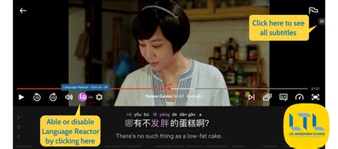 language reactor  amazing language tool  update