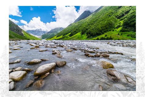 Valley Of Flowers Uttarakhand Trekking Package At Best Price