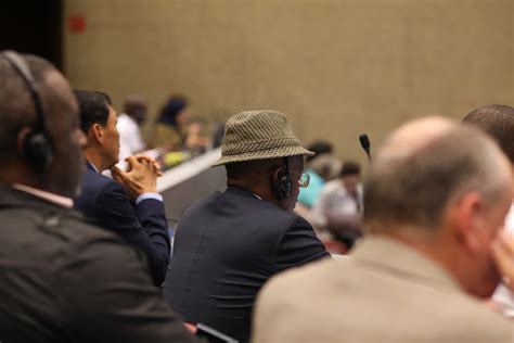 Delegate With Hat Sc Nov Photo Iisd Earth Negotiations