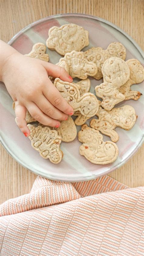 besten zuckerfreien Kekse in 2024 Zuckerfrei Fingerfood fürs