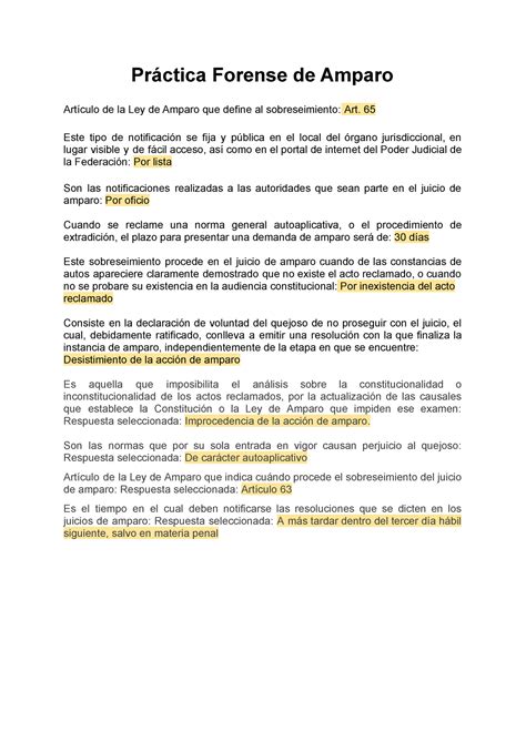 Gu A De Amparo Y Otros Medios Constitucionales En M Xico Pr Ctica