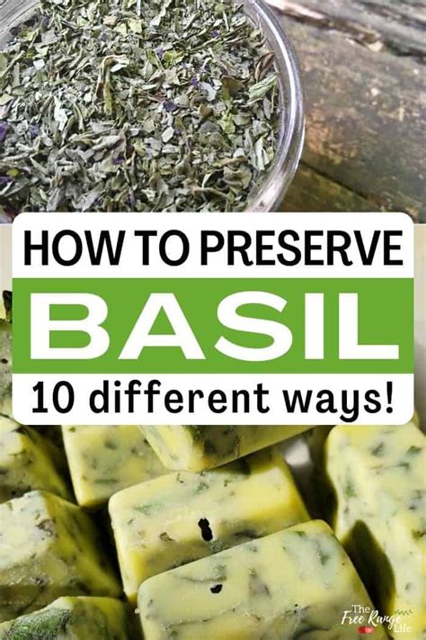 How To Freeze Basil Artofit