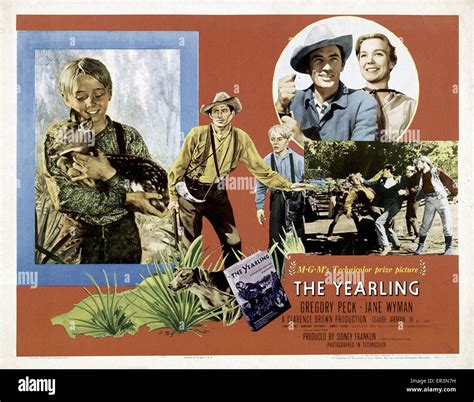 The Yearling - Movie Poster Stock Photo - Alamy