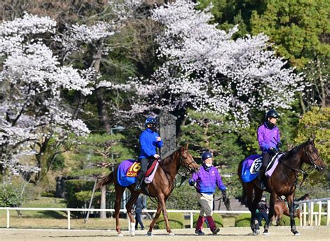 東スポ 写真部 On Twitter 【競馬】2022年4月6日 ＃桜花賞 ピンハイ ＃競馬 東スポ競馬 ＃桜 T