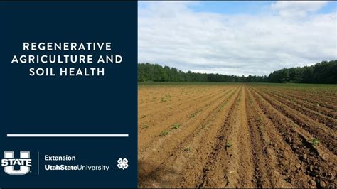 Regenerative Agriculture And Soil Health YouTube