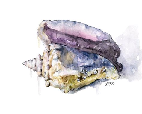 Seashell Painting Print From Original Watercolor Painting - Etsy